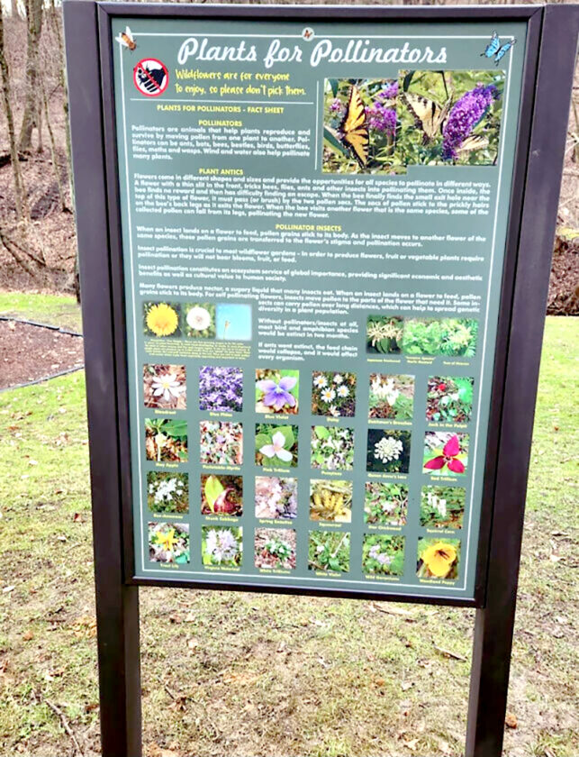 Beatty Park’s Historic Walking Tour News, Sports, Jobs The Herald Star